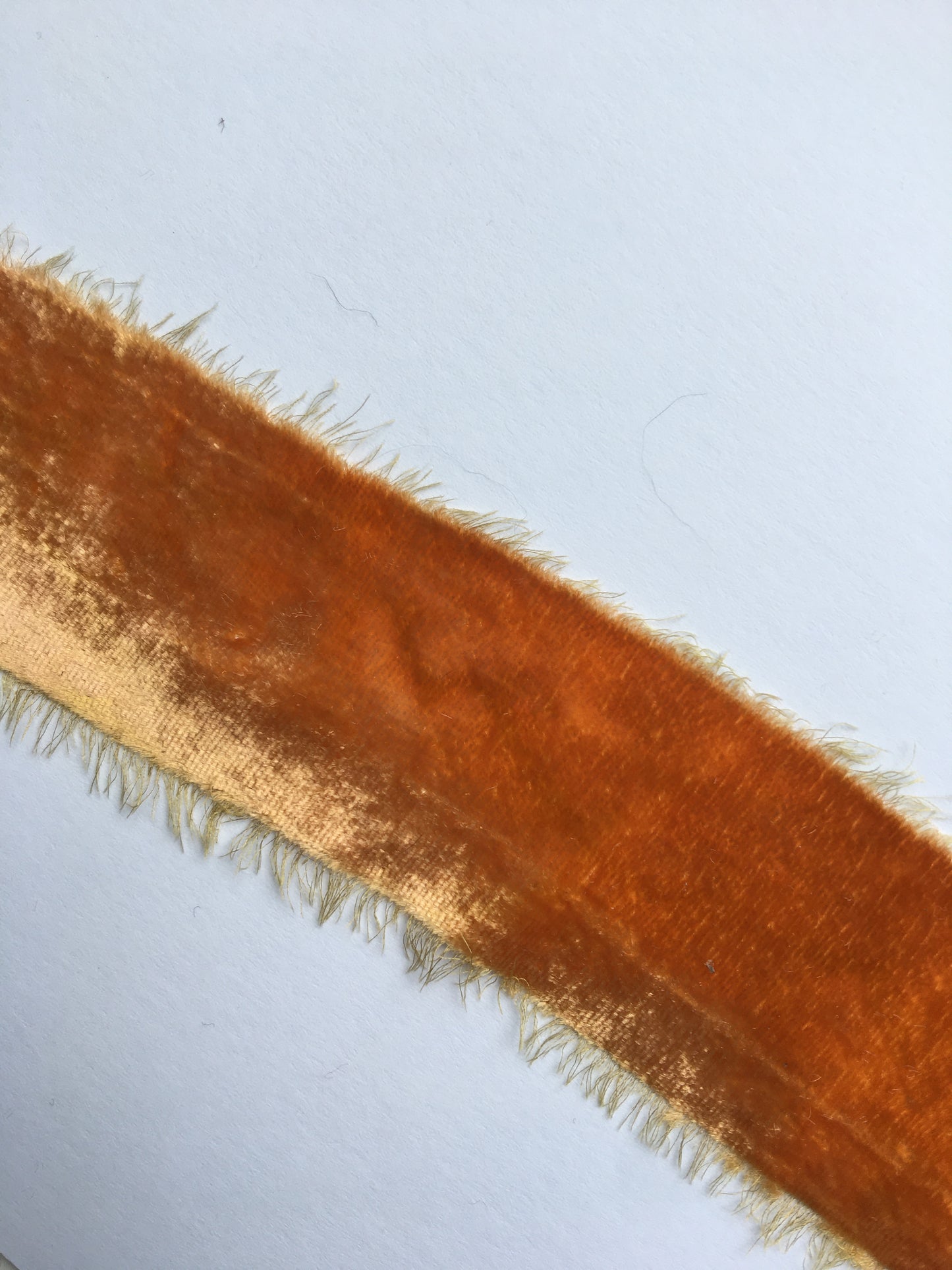 Limited Edition / 003 / Harvest Gold Velvet Silk